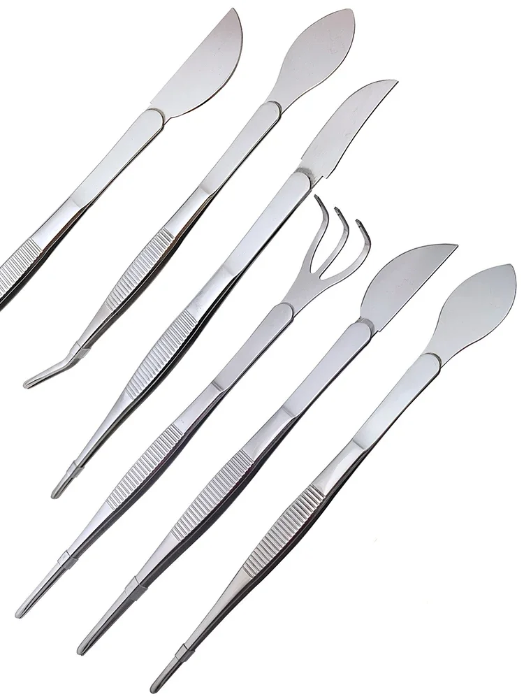1pc 2-in-1  304 Stainless Stee - Scissors Stainless Craft avis et prix