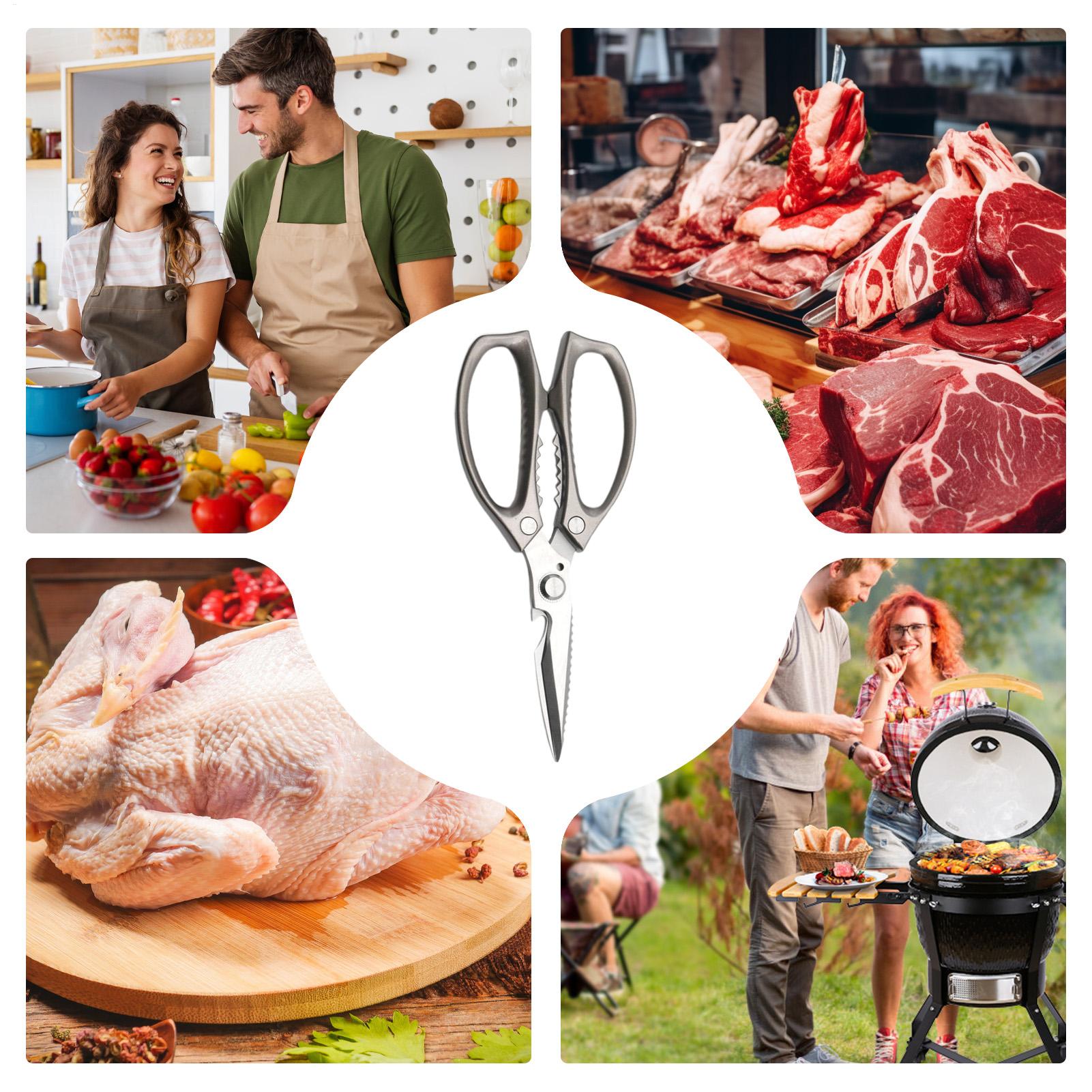Food Scissors Stainless Steel  - Scissors Stainless Craft avis et prix