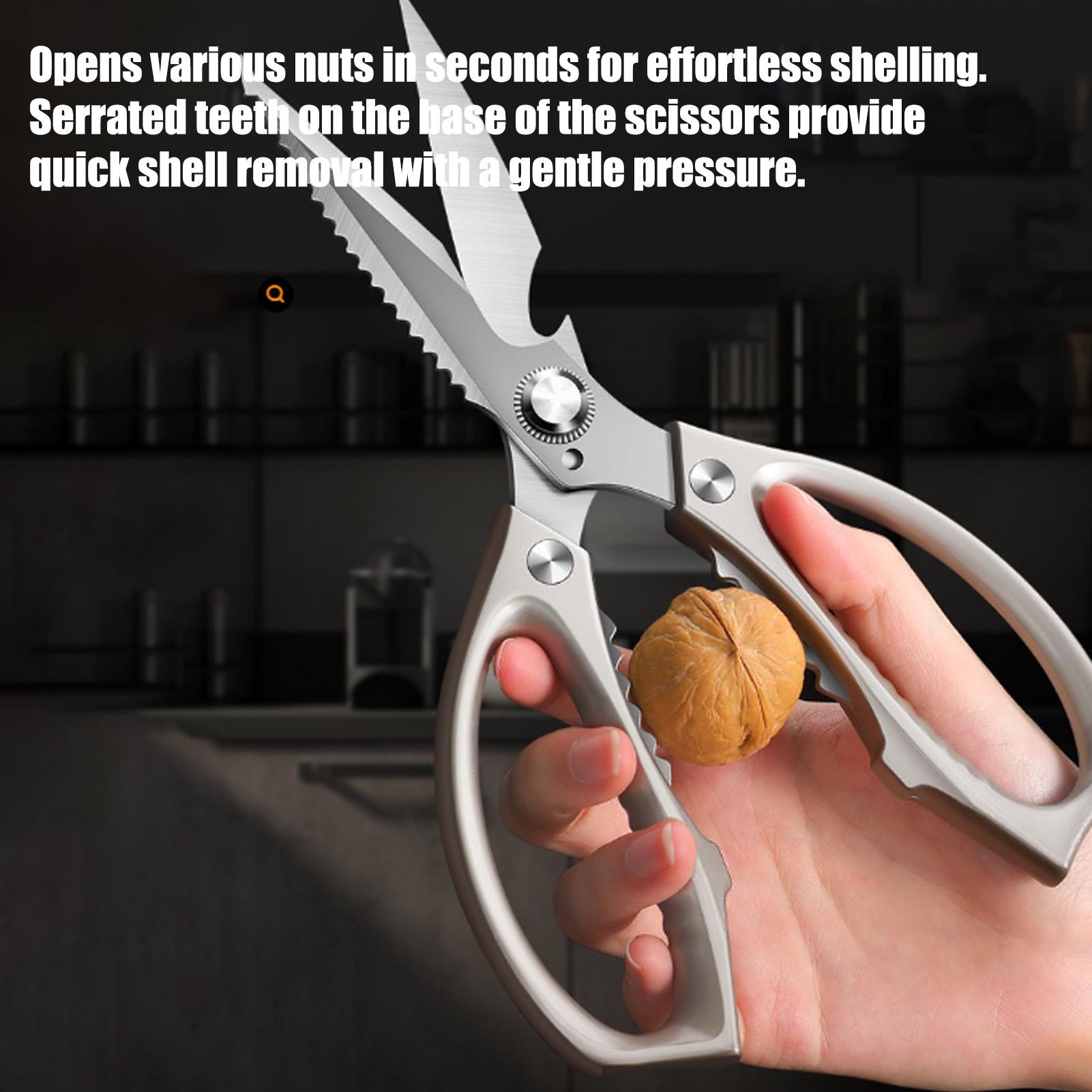 Food Scissors Stainless Steel  - Scissors Stainless Craft avis et prix
